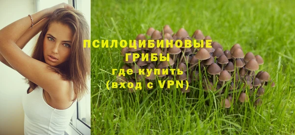 трава Краснотурьинск